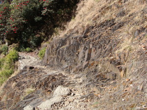 Triund Trek Route