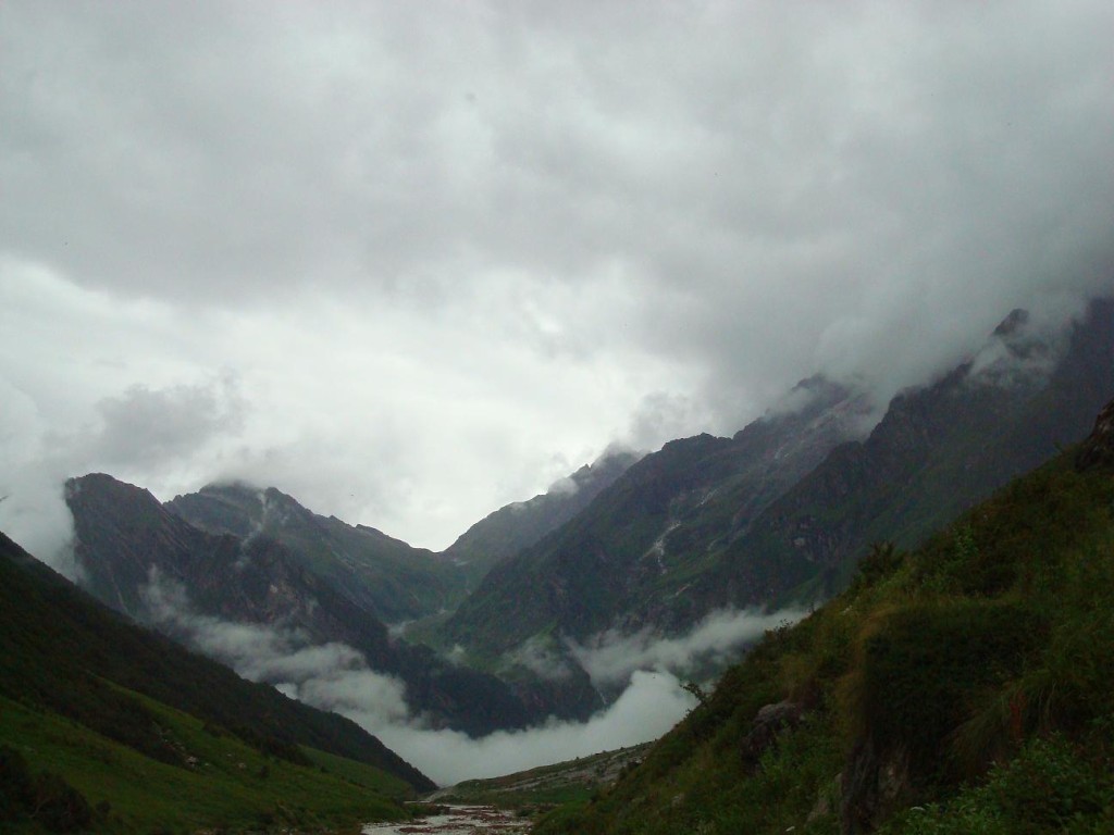 Valley of Flowers